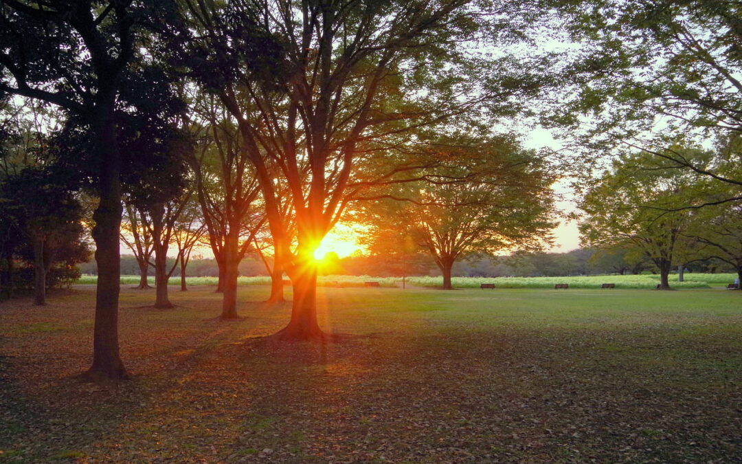 Inspirational Poetry: A Standing Stone in Gladstone Park