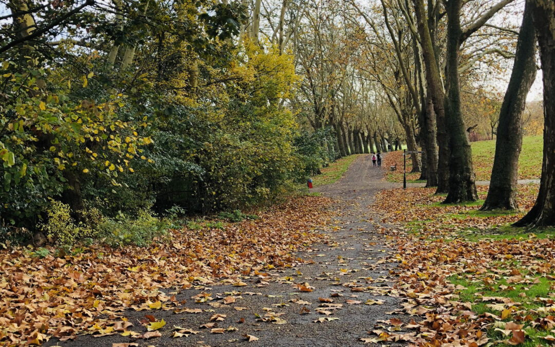 This Week’s Create Date: Park Walking