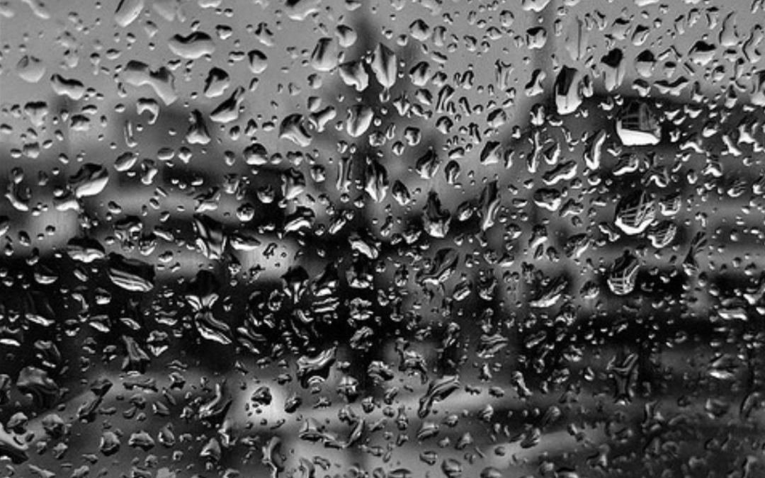 Poem of the Week: SHOWERINGS