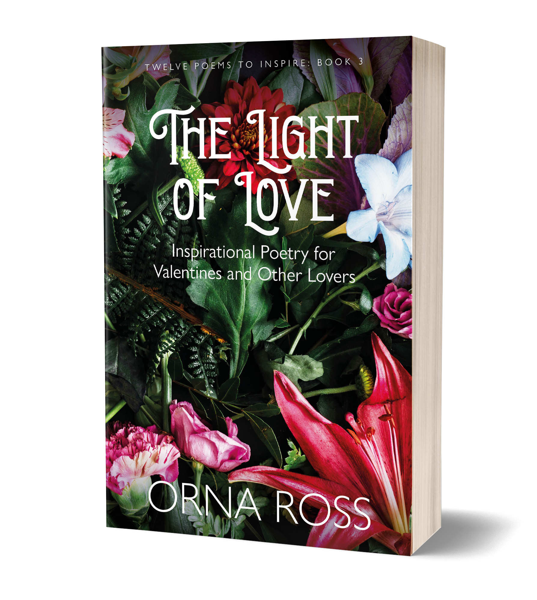 The Light of Love Cover 3D