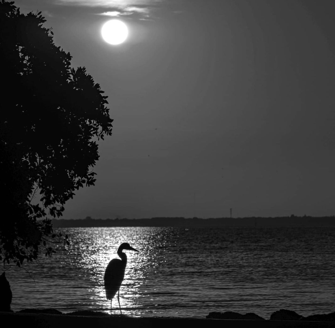 Poem “Moon Over Water”