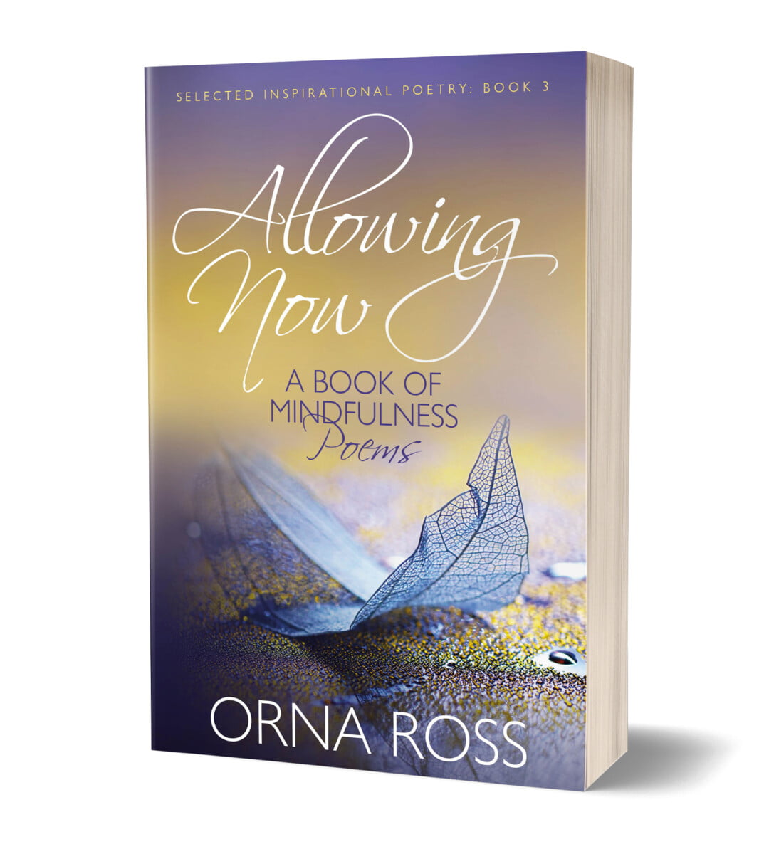 Poetry and Mindfulness: Allowing Now wins a Gold Literary Titan Award ...