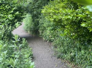 green pathway